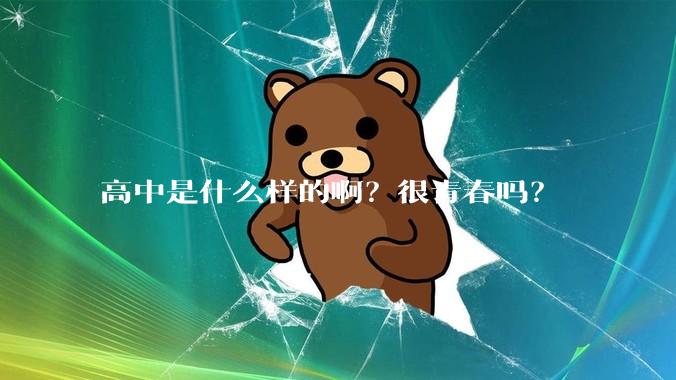 高中是什么样的啊？很青春吗？