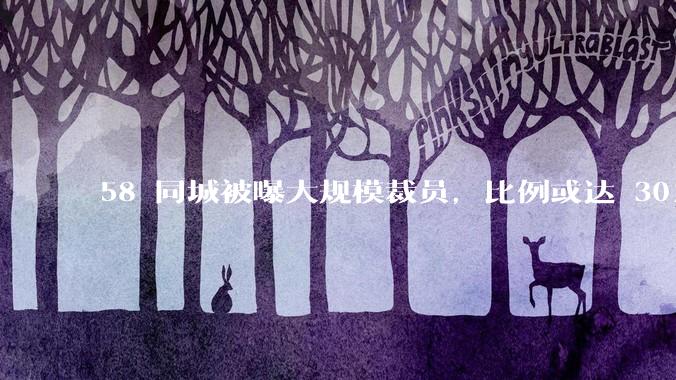 58 同城被曝大规模裁员，比例或达 30%，具体情况如何？58 同城目前面临哪些问题？
