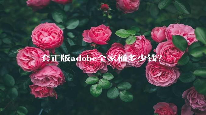 一套正版adobe全家桶多少钱？